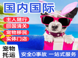 巴中恩阳航空空运国际宠物托运 【国